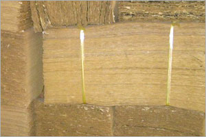 Bamboo pulp
